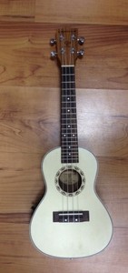 יוקללה קונצרט מוגברת CAMILLA UK-24ZE laminated Spruce top Zebrawood B&S