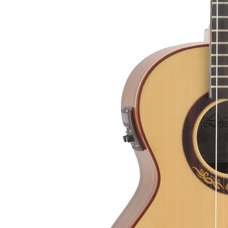 יוקללה טנור מוגברת כולל נרתיק מרופד LEHO LHT-SWR-CE CUT AWAY