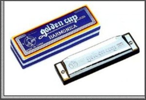 מפוחית 10 חורים GOLDEN CUP JH1020A