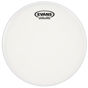 עור "12 EVANS J1 ETCHED HEAD