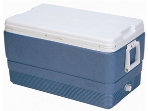 צידנית קשיחה גדולה 66 ליטר תוצרת ארה"ב IGLOO MAX COLD שומרת קור 5 ימים