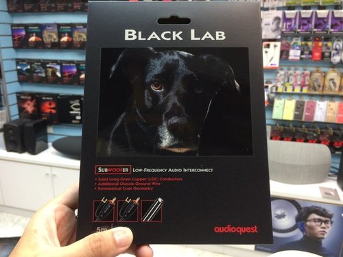 כבל סאב 2M RCA-RCA מבית AUDIOQUEST - סדרת BLACK LAB