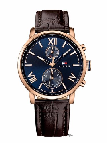 Tommy Hilfiger 1791308 - משווק מורשה