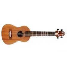 יוקללה PEAVEY STUDENT