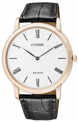 Citizen AR1113-12B - סיטיזן שעונים