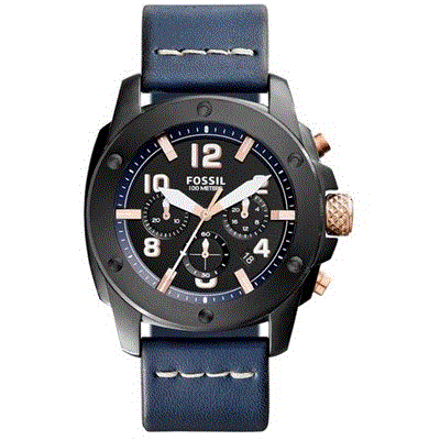 Fossil FS5066