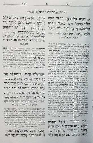 שנים מקרא איש מצליח