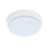 צמוד תקרה מוגן מים לד עגול MINIFROST LED 12W