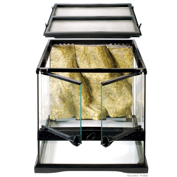 מיני טרריום רחב לזוחלים Natural Terrarium Mini/Wide