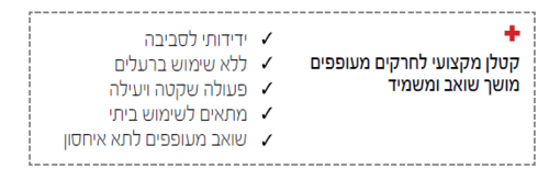 הוריקן לגינה