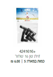 זוית שן 16