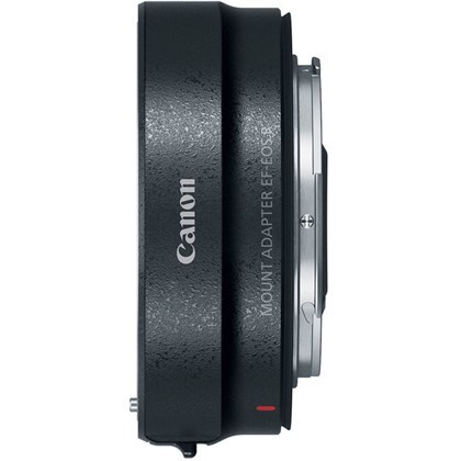 Canon EOS R Body + Mount Adaptor EF
