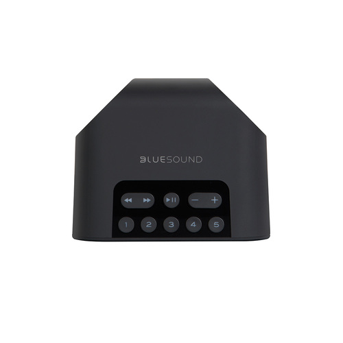 רמקול אלחוטי משולב סטרימר מוזיקה מבית Bluesound דגם Pulse Flex2i