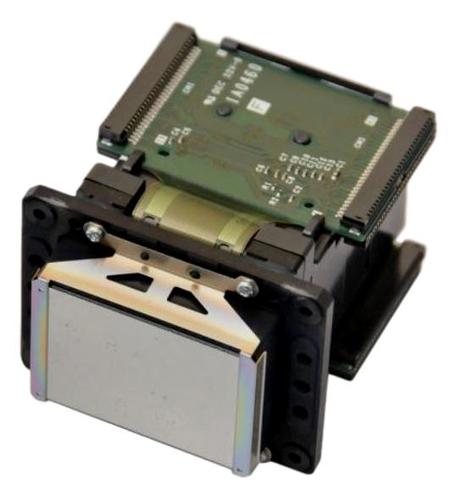 ראש הדפסה Roland DX7     