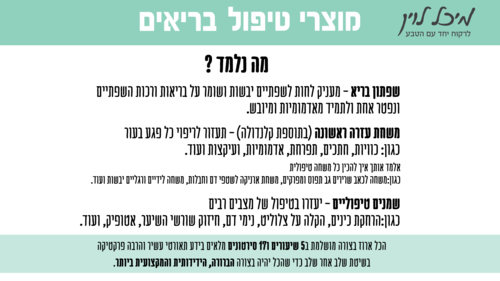 קורס אינטרנטי להכנת מוצרי טיפול בריאים - ללא חומרי גלם