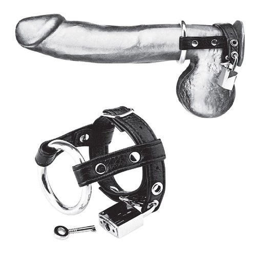 טבעת זקפה ורתמת אשכים   Dou Cock & Balls Lock