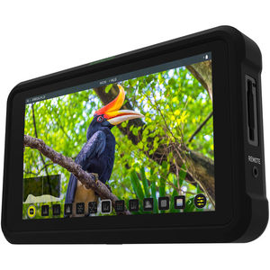 מוניטור Atomos Shinobi 5.2 4K HDMI