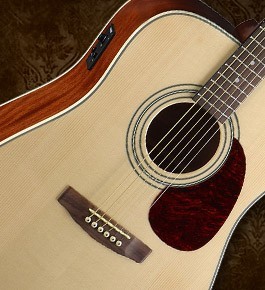 גיטרה אקוסטית מוגברת Cort Earth70E