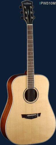 גיטרה אקוסטית Parkwood PW130M
