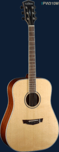 גיטרה אקוסטית Parkwood PW130M