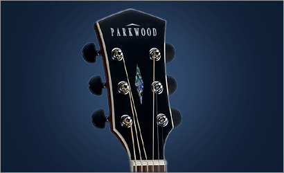 גיטרה אקוסטית Parkwood PW130M