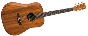 גיטרה אקוסטית Martin DXK2AE