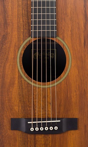 גיטרה אקוסטית Martin DXK2AE