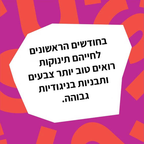 זוג חיות רעשנים שחור לבן בייבי איינשטיין baby einstein