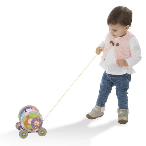 קסילופון מתגלגל ומנגן מעץ 2 חלקים