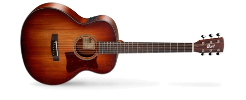 גיטרה אקוסטית מוגברת + נרתיק CORT LITTLE CJ BLACKWOOD OPLB