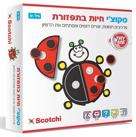 סקוצ