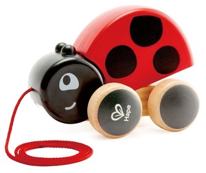 מעודד הליכה חיפושית