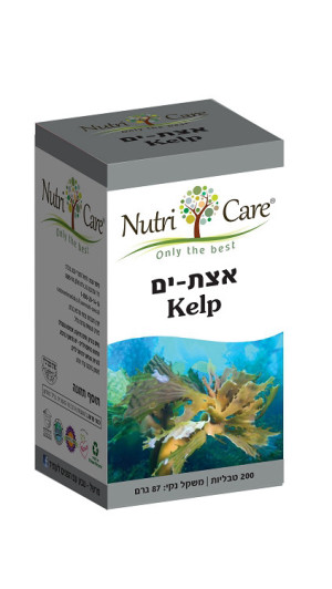 אצות ים