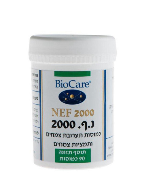 נ.ף. 2000