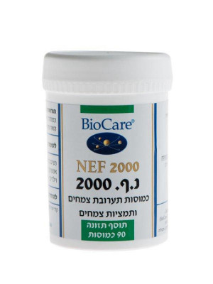 נ.ף. 2000