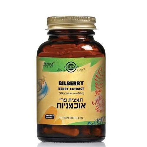 תמצית אוכמניות
