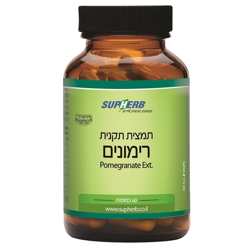 תמצית תקנית רימונים