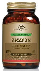אכינצאה