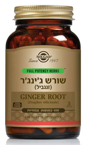 שורש זנגוויל