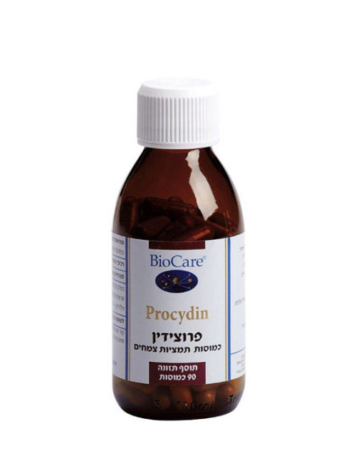 פרוצידין