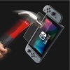 מגן מסך זכוכית ל Nintendo Switch