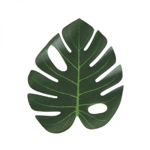 6 עלים דקורטיבים- בינוני