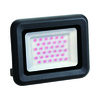 הצפה שחור SMD IP65 30W COLOR JET אור מג'נטה