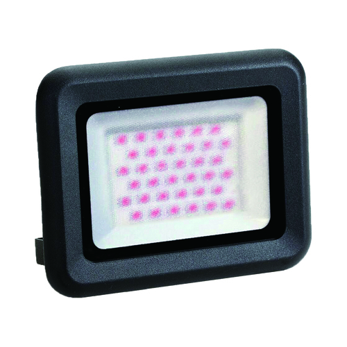 הצפה שחור SMD IP65 30W COLOR JET אור מג'נטה Nisko 
