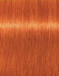 צבע לשיער שוורצקופף 8-77 SCHWARZKOPF IGORA ROYAL