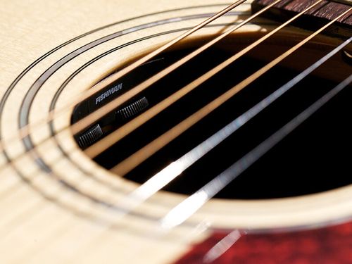 זוית נוספת Guild D-150CE