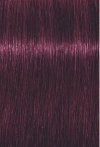 צבע לשיער שוורצקופף 6-99 SCHWARZKOPF IGORA ROYAL
