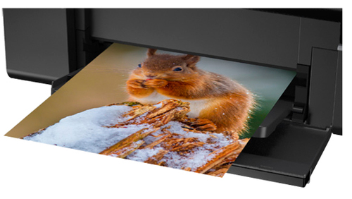 מדפסת Epson L805 אפסון