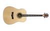 גיטרה אקוסטית DW-2 מבית PEAVEY