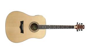 גיטרה אקוסטית DW-2 מבית PEAVEY